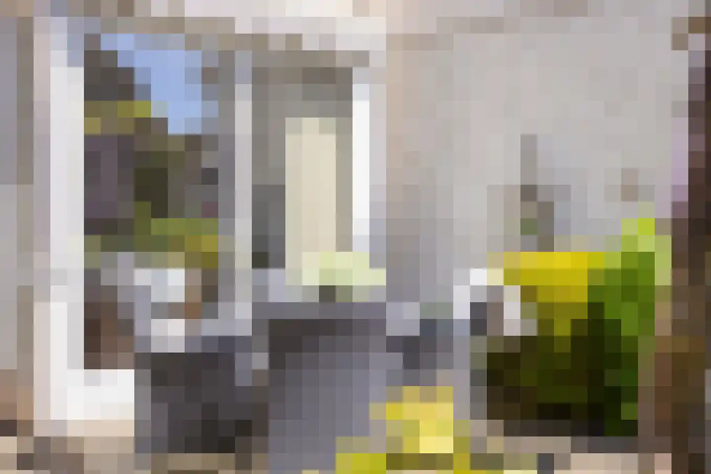 Gerard Bruningstraat 2 Rosmalen thumbnail 36