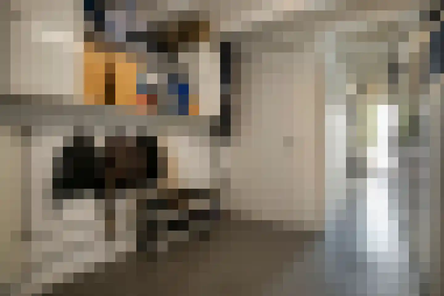 Gerard Bruningstraat 3 Rosmalen thumbnail 20