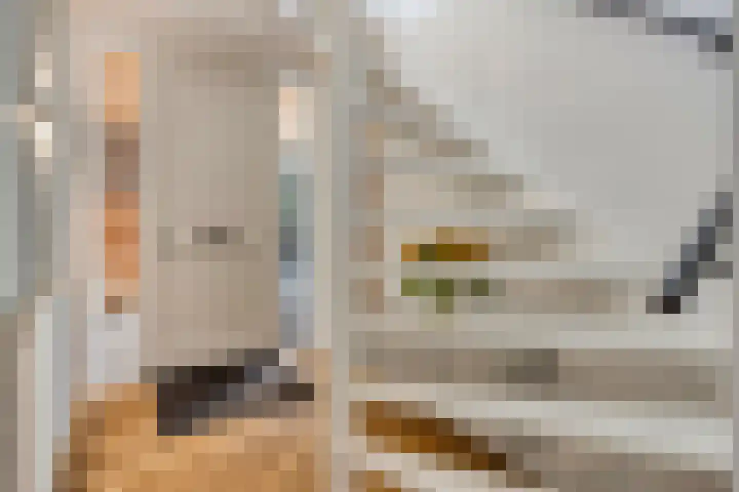 Gerard Bruningstraat 3 Rosmalen thumbnail 23