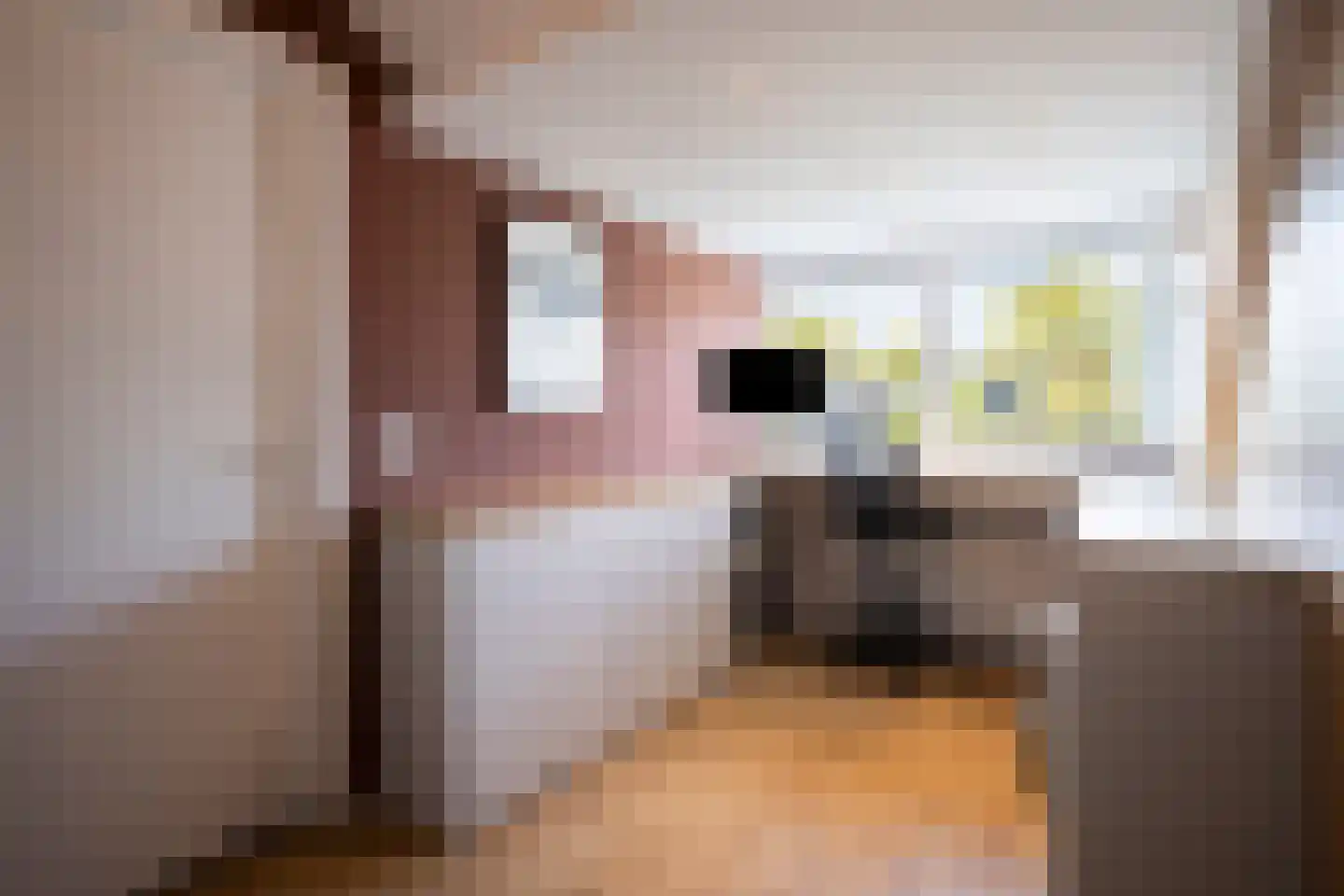 Gerard Bruningstraat 3 Rosmalen thumbnail 33