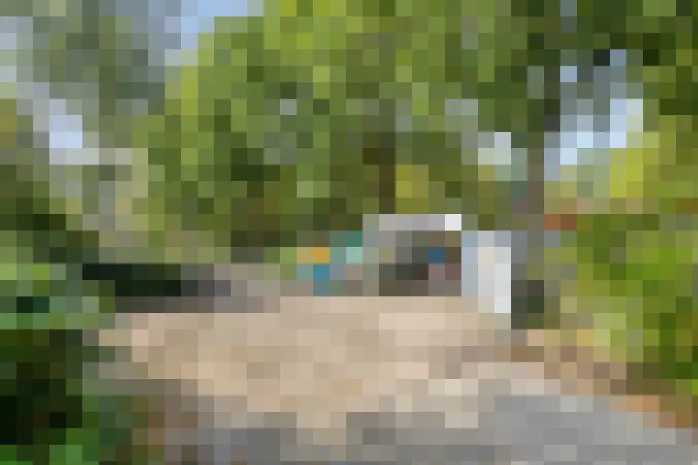 Gerard Bruningstraat 3 Rosmalen thumbnail 44