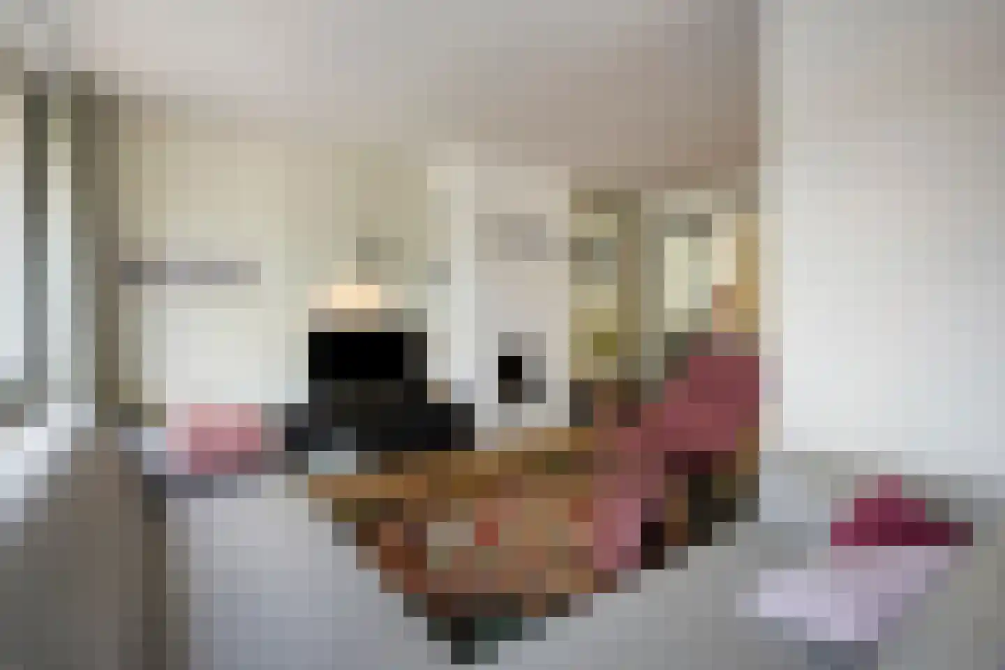 Gerard Bruningstraat 3 Rosmalen thumbnail 7