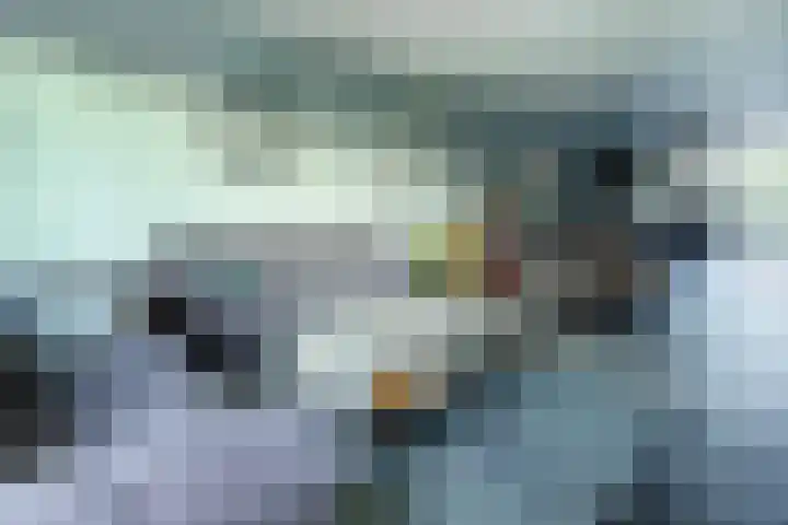 Gerard Bruningstraat 7 Heerlen thumbnail 7
