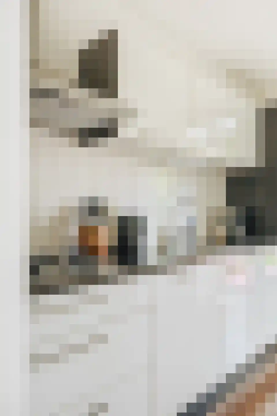 Gerard Callenburgstraat 8 1 Amsterdam thumbnail 12