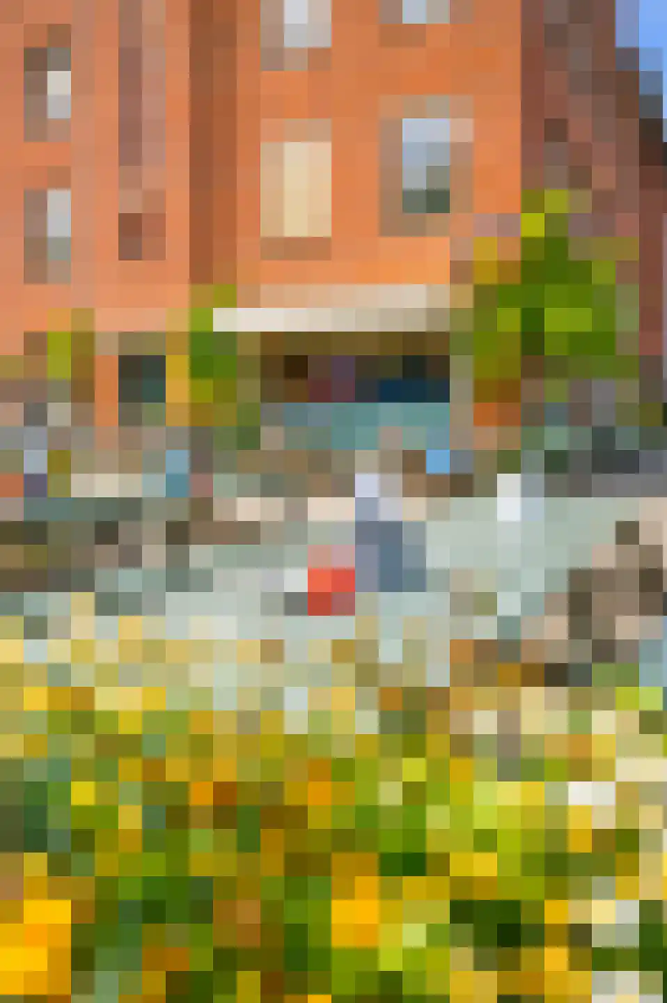 Gerard Callenburgstraat 8 1 Amsterdam thumbnail 34