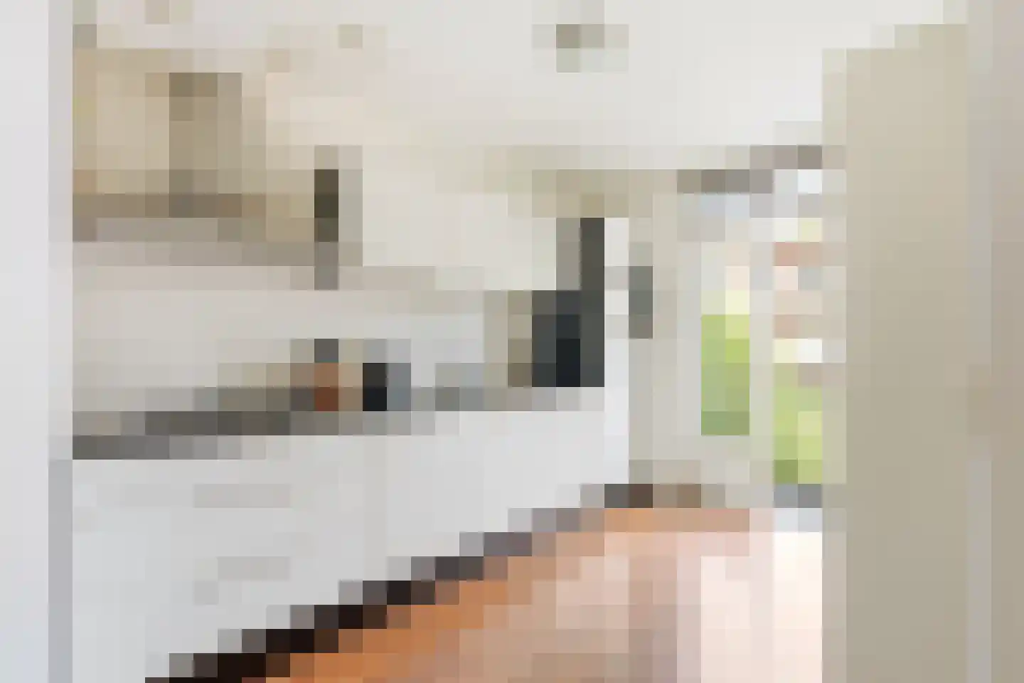 Gerard Callenburgstraat 8 1 Amsterdam thumbnail 7