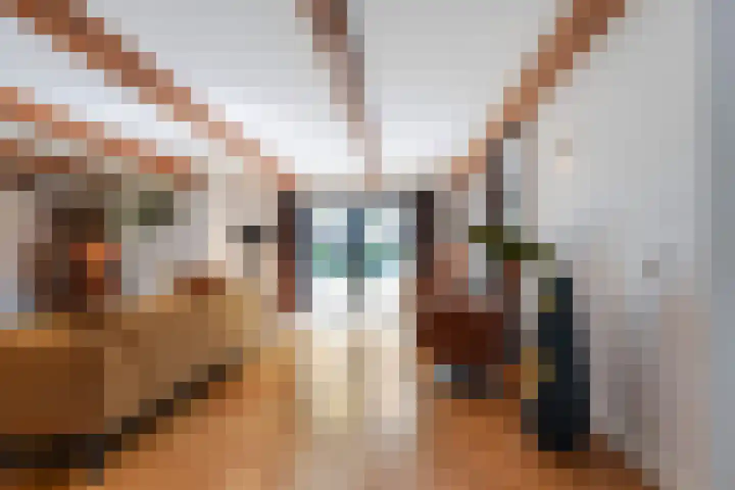 Gerard Davidstraat 1 Waalwijk thumbnail 11