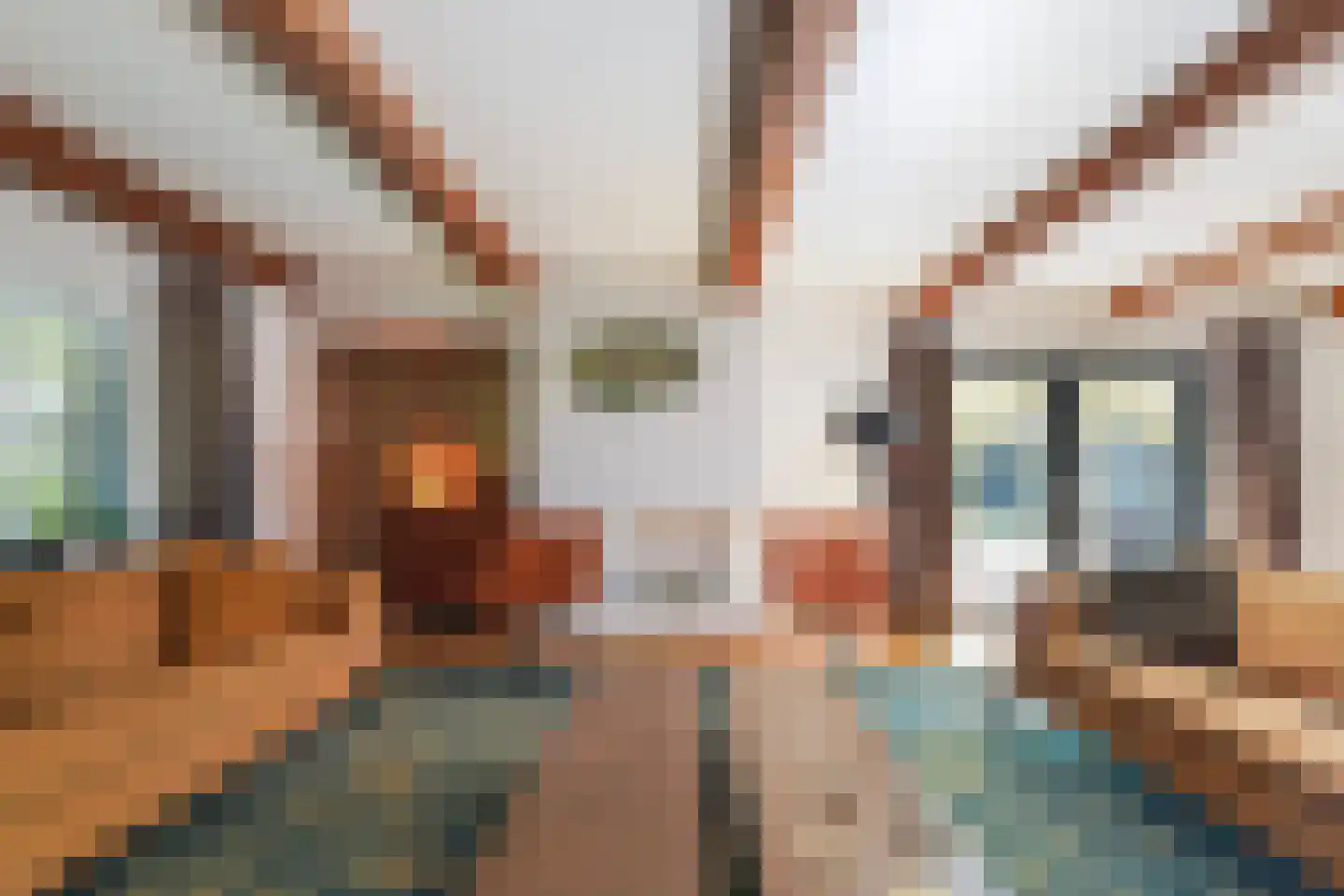 Gerard Davidstraat 1 Waalwijk thumbnail 15