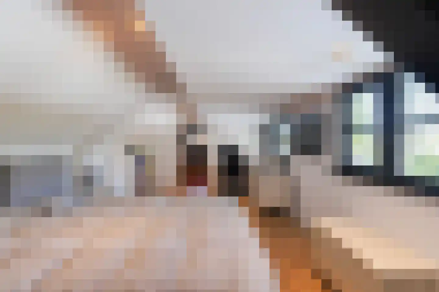 Gerard Davidstraat 1 Waalwijk thumbnail 43