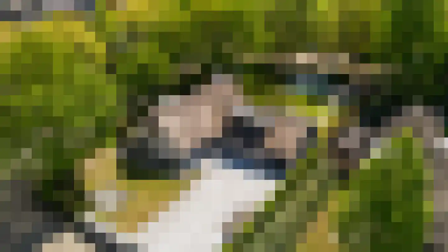 Gerard Davidstraat 1 Waalwijk thumbnail 5