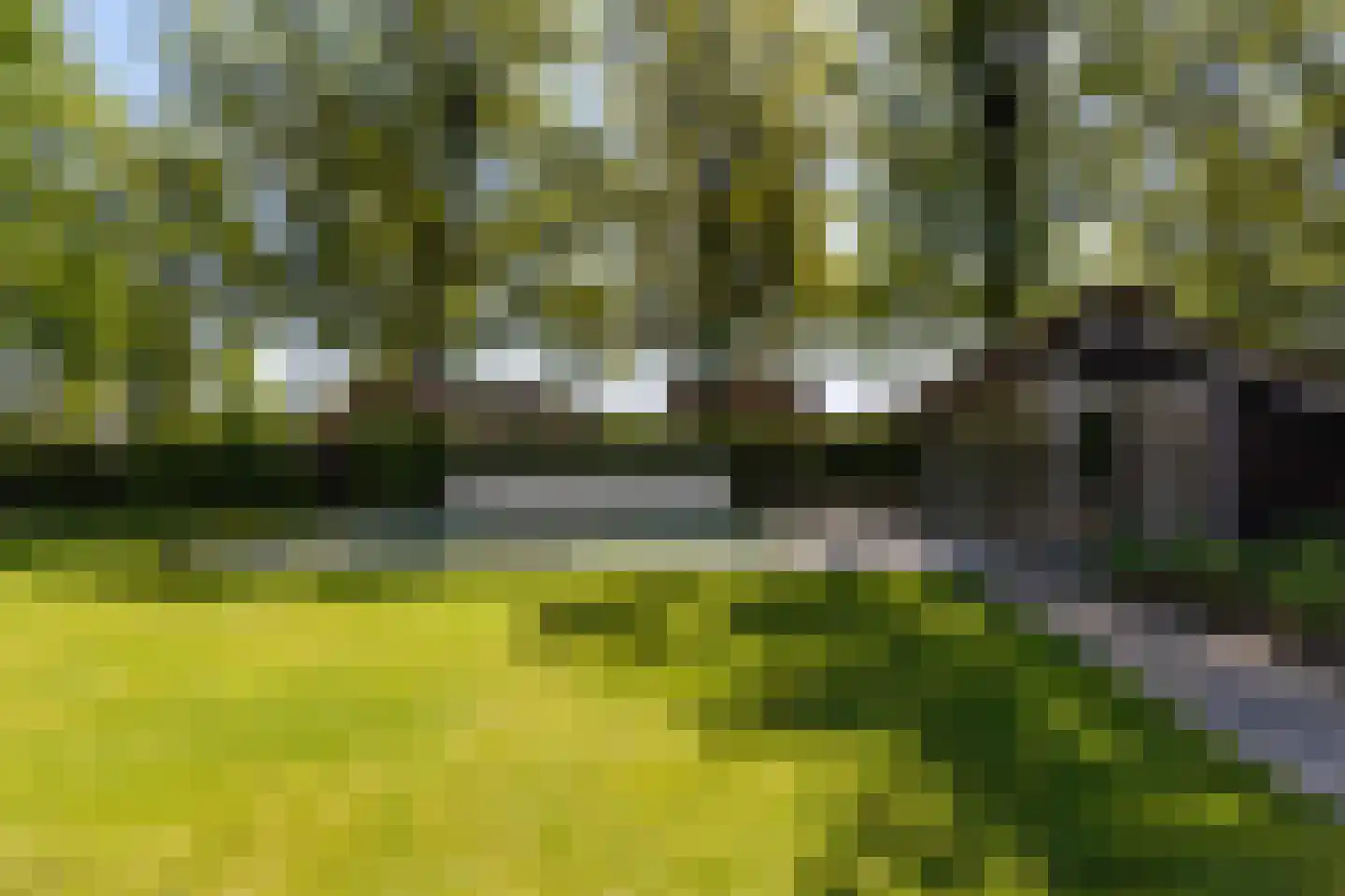 Gerard Davidstraat 1 Waalwijk thumbnail 55