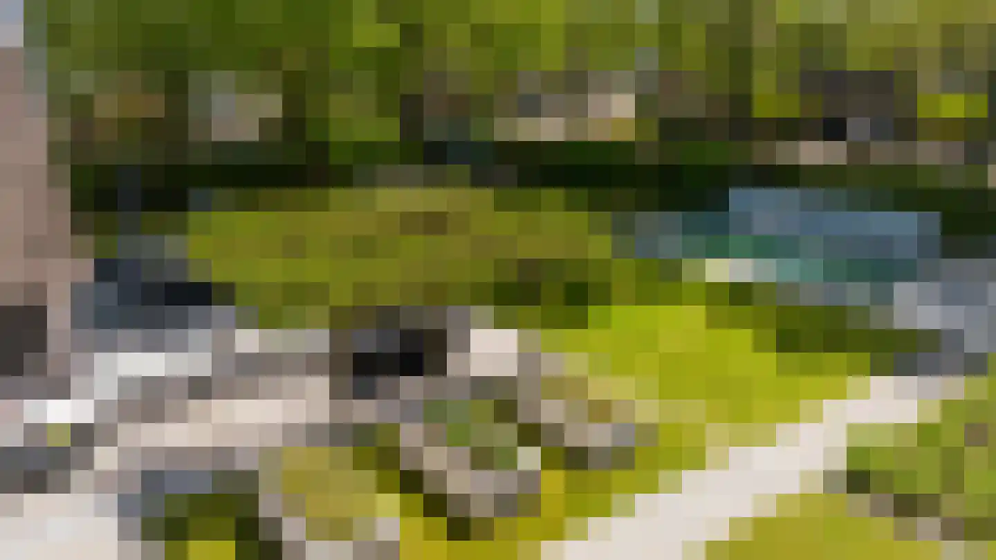 Gerard Davidstraat 1 Waalwijk thumbnail 66