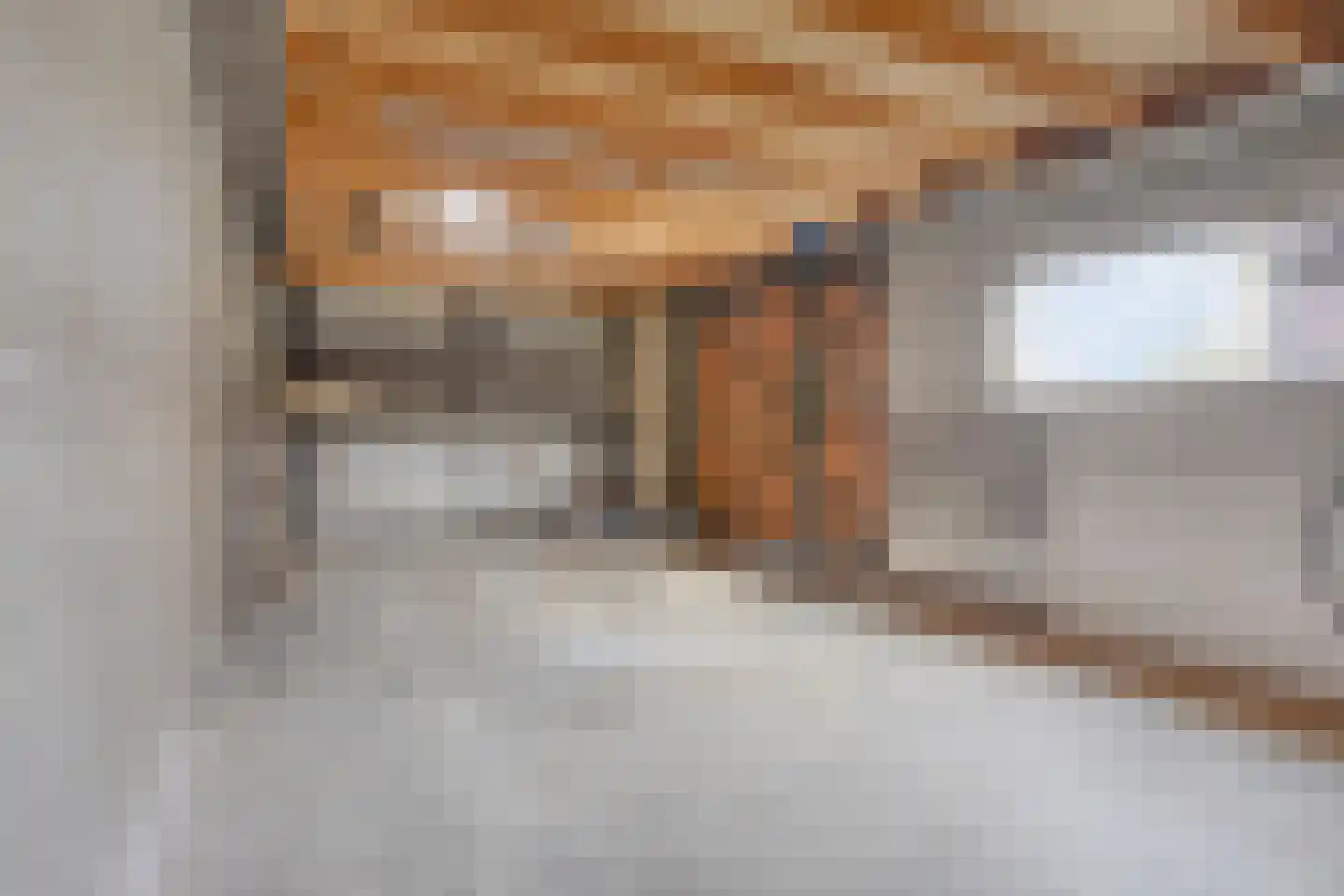 Gerard Davidstraat 12 Oudewater thumbnail 13