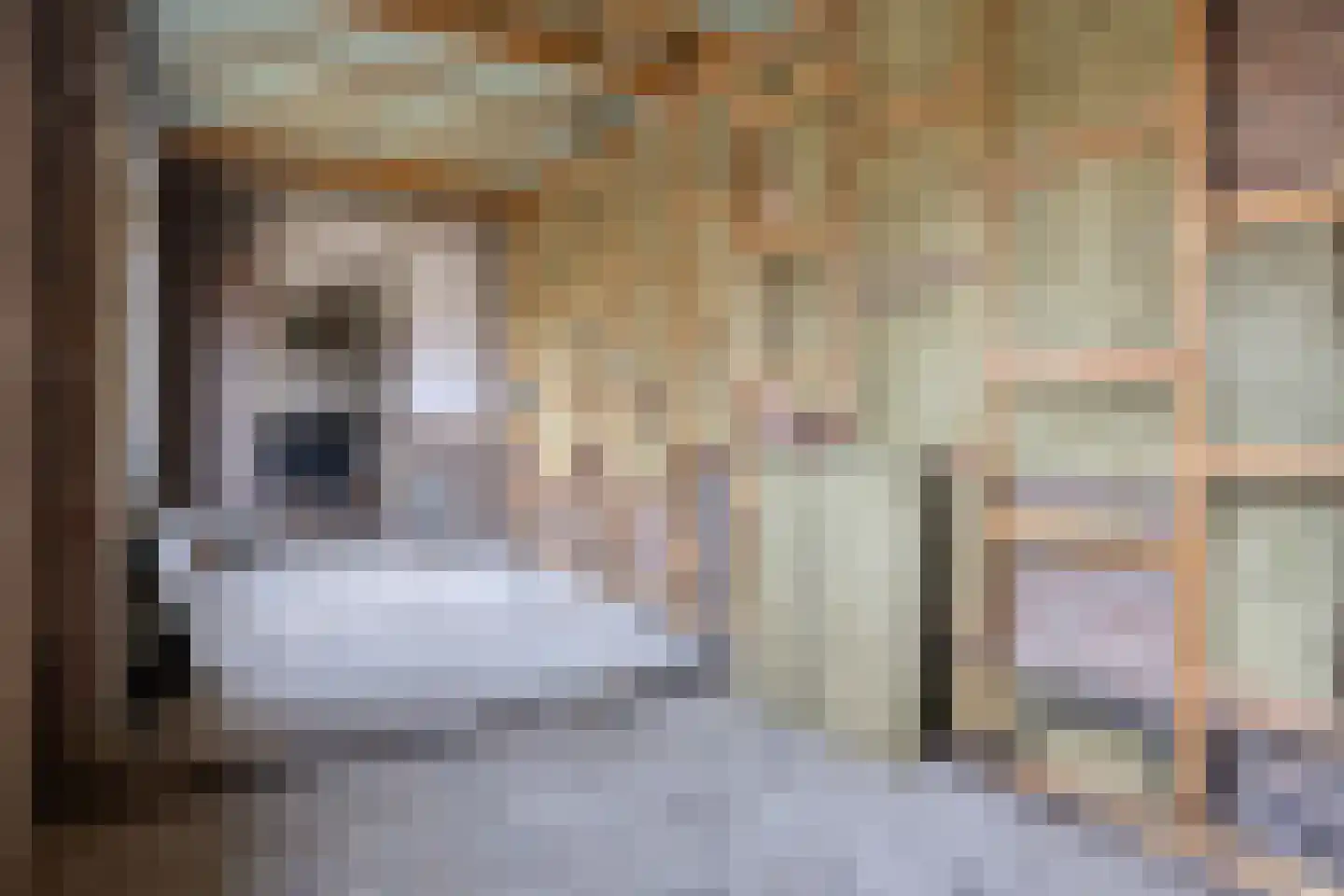 Gerard Davidstraat 12 Oudewater thumbnail 9