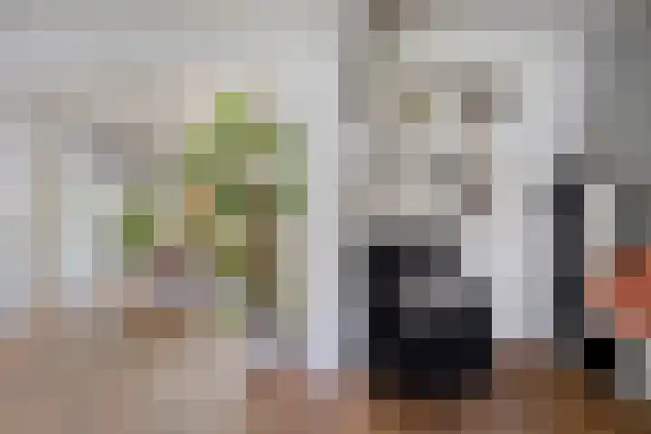 Gerard Davidstraat 15 Helmond thumbnail 14