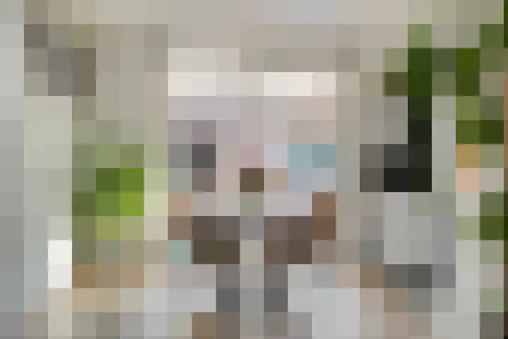 Gerard Davidstraat 15 Helmond thumbnail 16