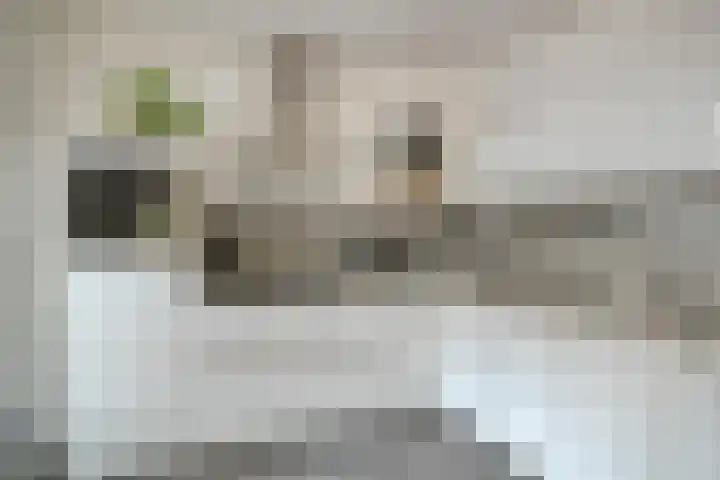Gerard Davidstraat 15 Helmond thumbnail 17
