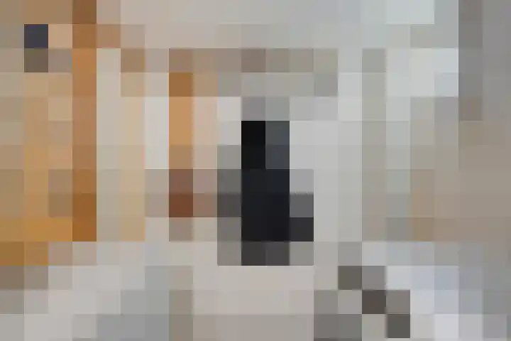 Gerard Davidstraat 15 Helmond thumbnail 21