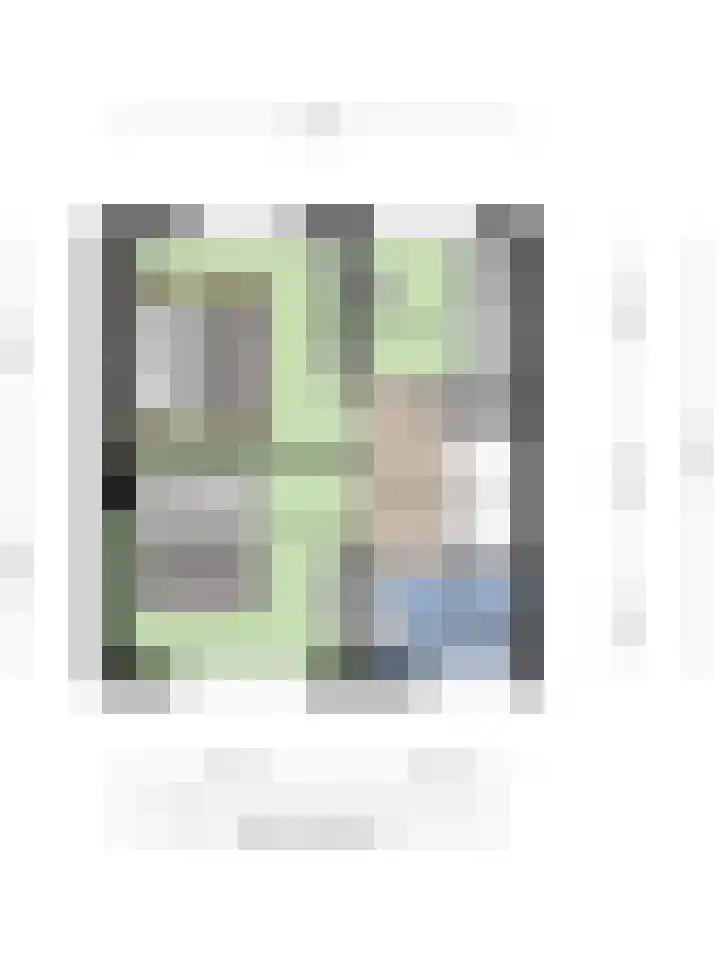 Gerard Davidstraat 15 Helmond thumbnail 51