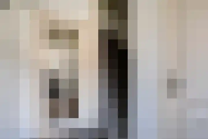 Gerard Davidstraat 15 Helmond thumbnail 9