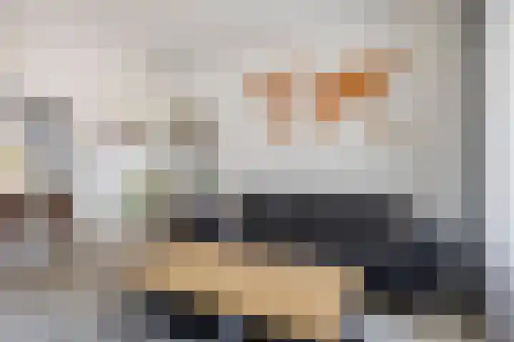Gerard Davidstraat 16 Eindhoven thumbnail 10
