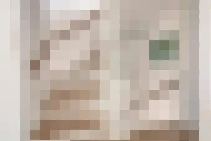 Gerard Davidstraat 16 Eindhoven thumbnail 15