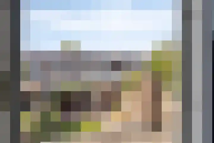 Gerard Davidstraat 16 Eindhoven thumbnail 20