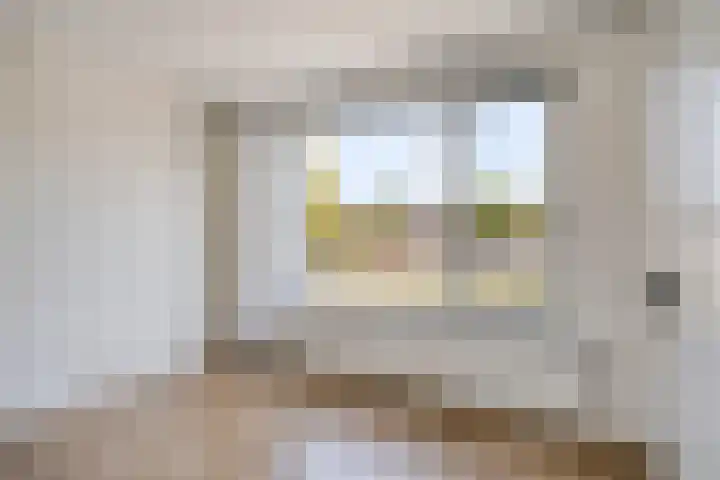 Gerard Davidstraat 16 Eindhoven thumbnail 21