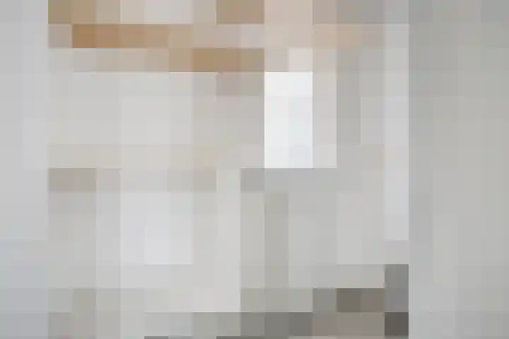Gerard Davidstraat 16 Eindhoven thumbnail 22
