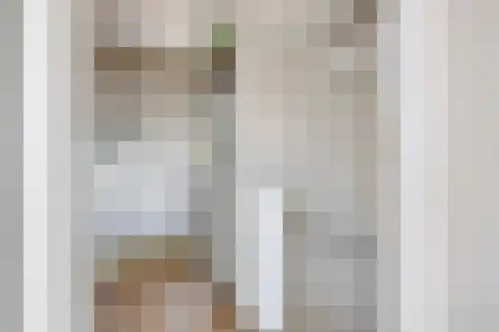 Gerard Davidstraat 16 Eindhoven thumbnail 23