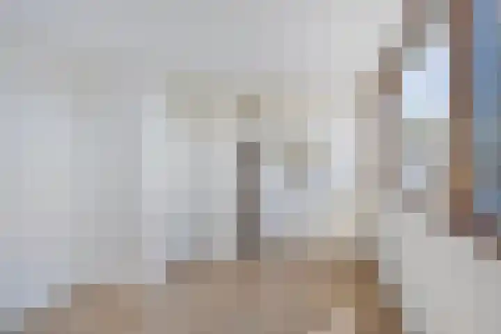 Gerard Davidstraat 16 Eindhoven thumbnail 25