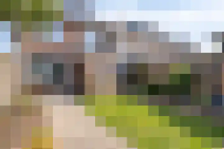 Gerard Davidstraat 16 Eindhoven thumbnail 31