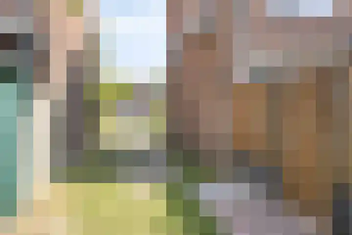 Gerard Davidstraat 16 Eindhoven thumbnail 33