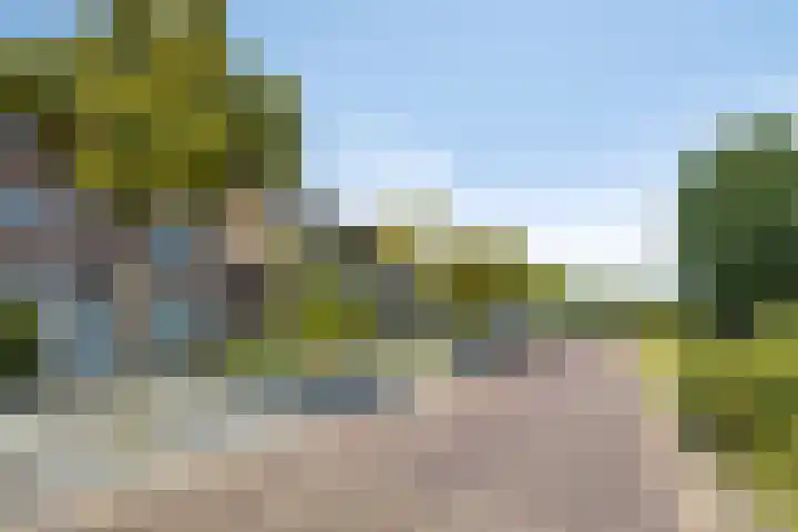 Gerard Davidstraat 16 Eindhoven thumbnail 4