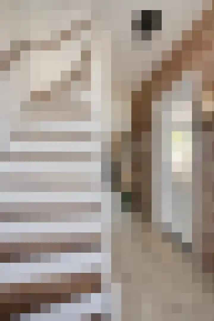 Gerard Davidstraat 16 Eindhoven thumbnail 8
