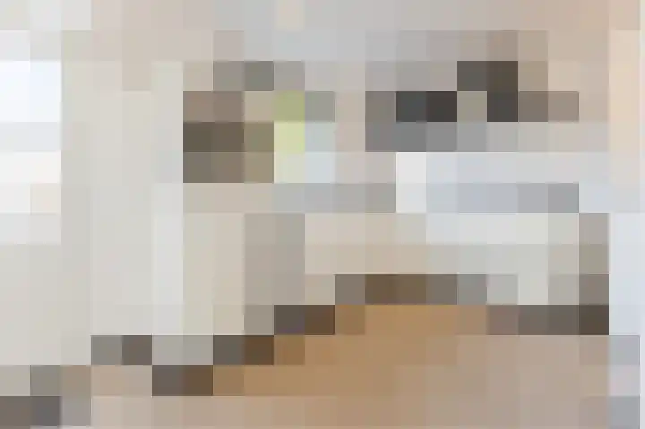 Gerard Davidstraat 28 Eindhoven thumbnail 13