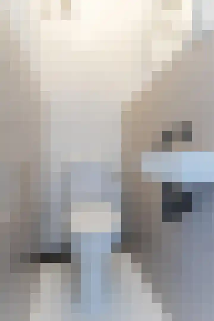 Gerard Davidstraat 28 Eindhoven thumbnail 8