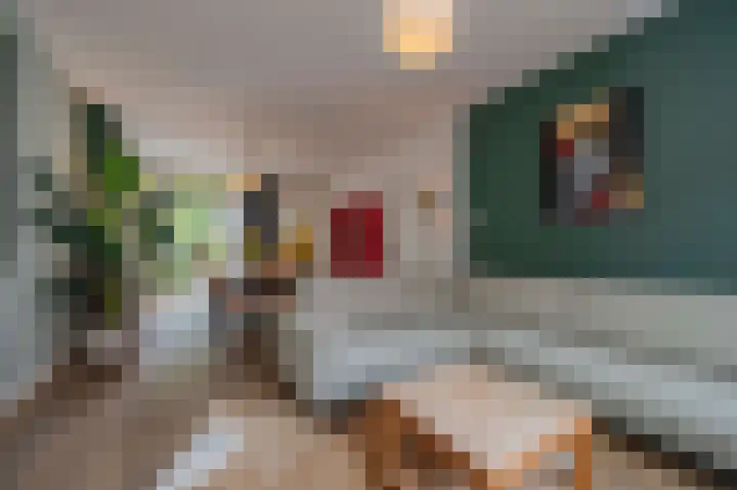 Gerard de Bondtstraat 41 Tilburg thumbnail 10
