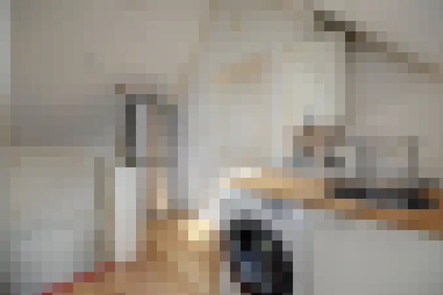 Gerard de Lairessestraat 9 Veenendaal thumbnail 20