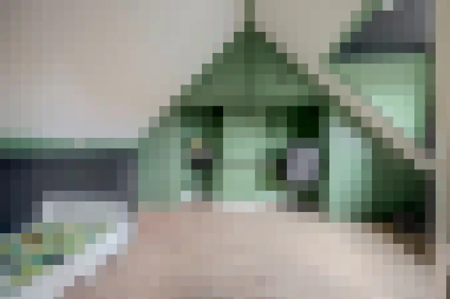 Gerard de Lairessestraat 9 Veenendaal thumbnail 23