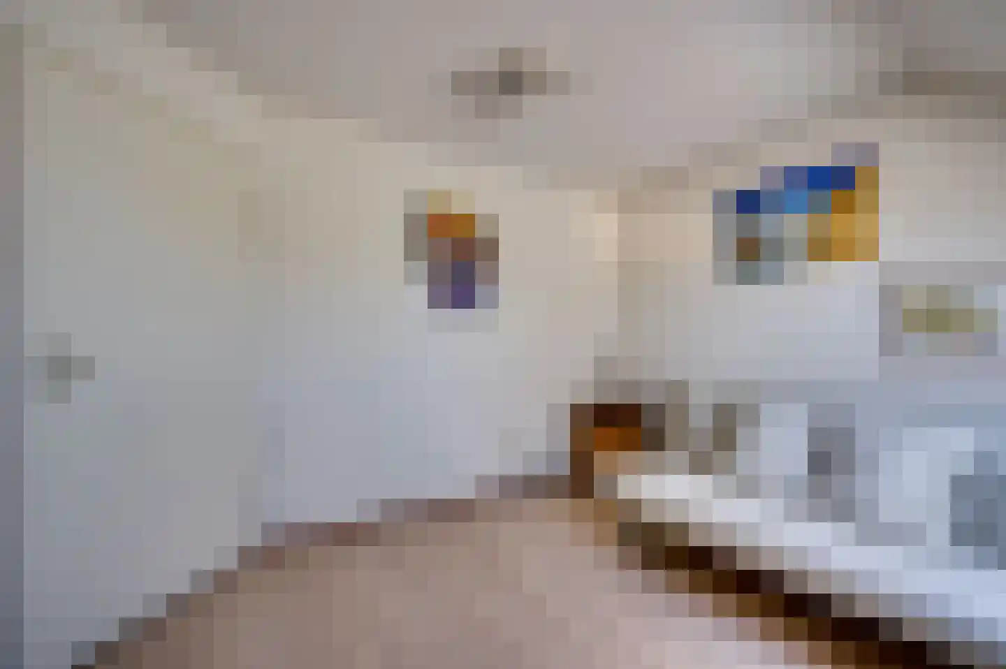 Gerard de Vlamingstraat 5 Venlo thumbnail 24