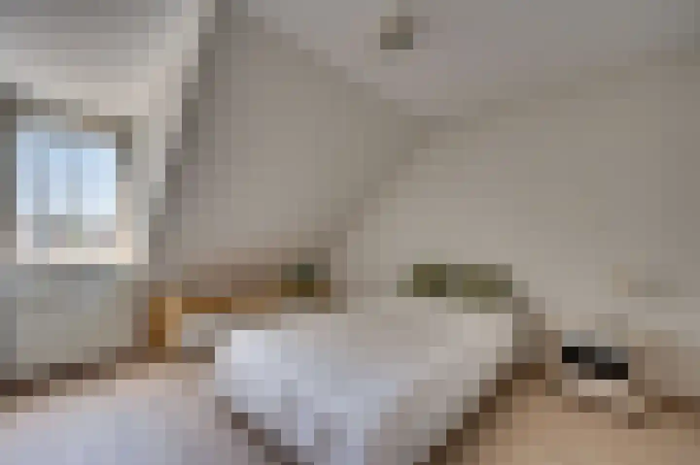 Gerard de Vlamingstraat 5 Venlo thumbnail 25