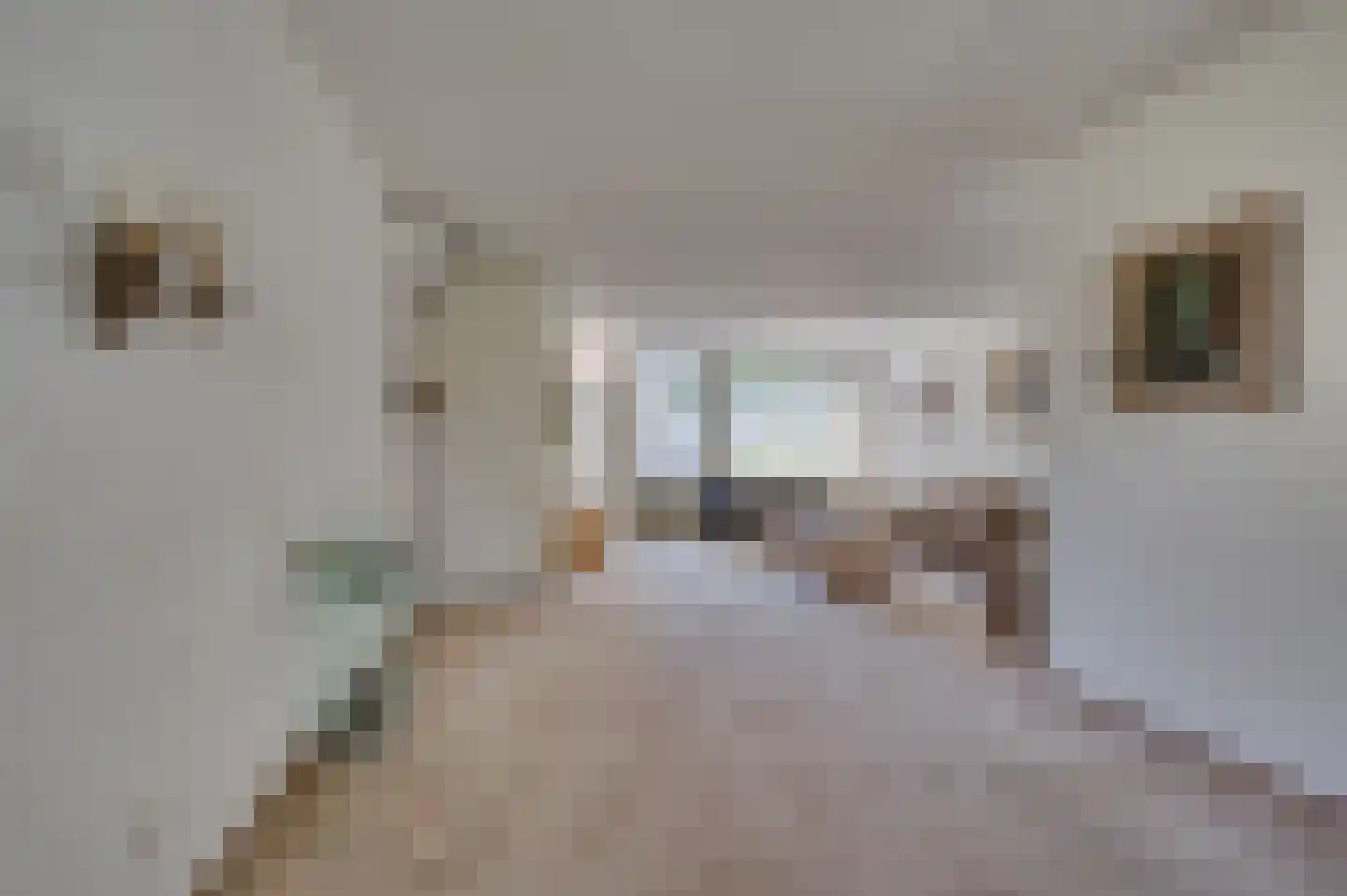 Gerard de Vlamingstraat 5 Venlo thumbnail 5
