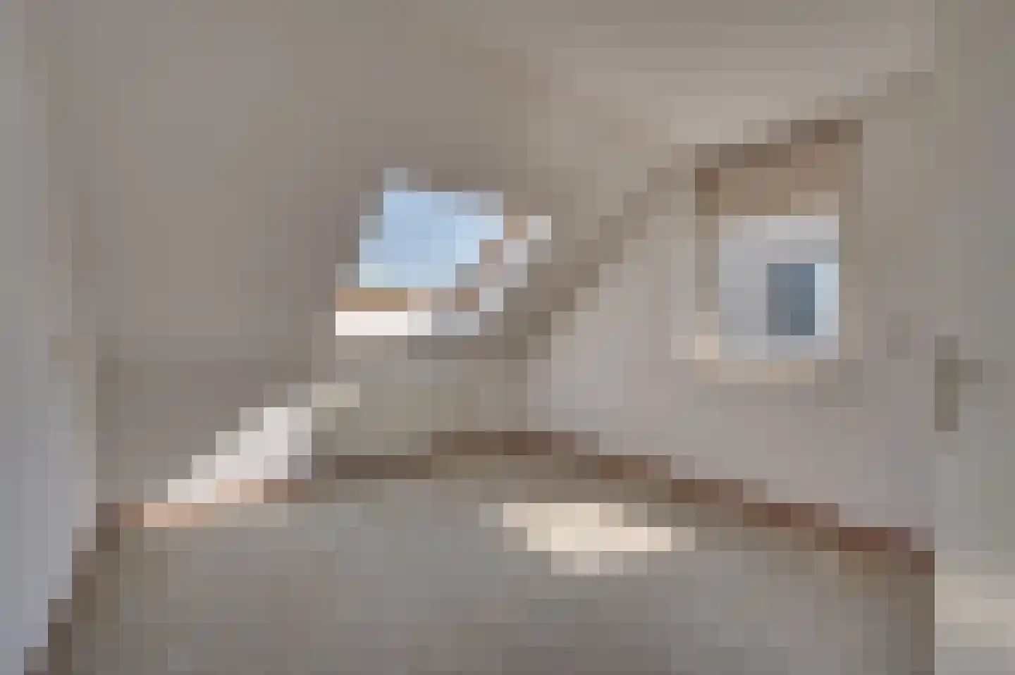Gerard de Vlamingstraat 9 Venlo thumbnail 18