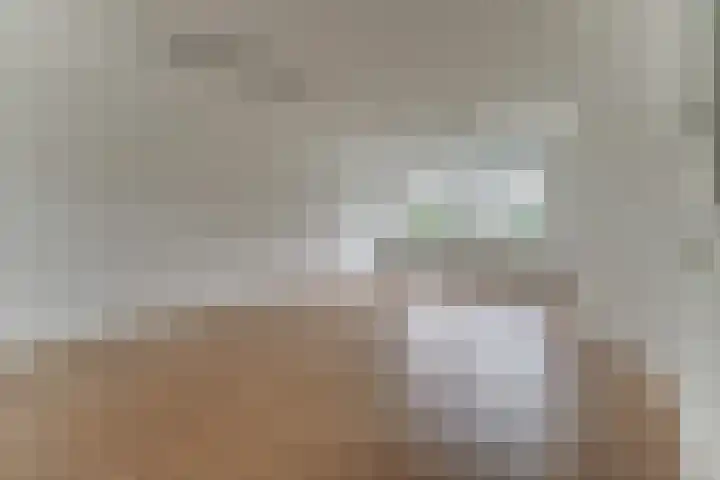 Gerard den Brabanderhof 18 Hoorn thumbnail 11