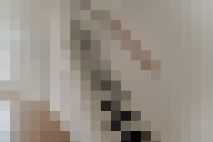 Gerard den Brabanderhof 18 Hoorn thumbnail 20