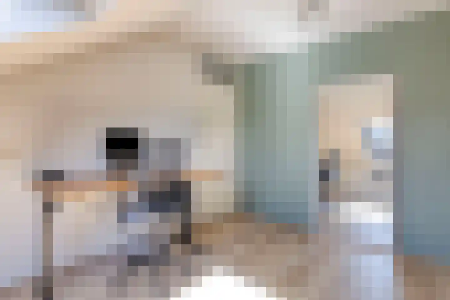Gerard den Brabanderhof 24 Hoorn thumbnail 25