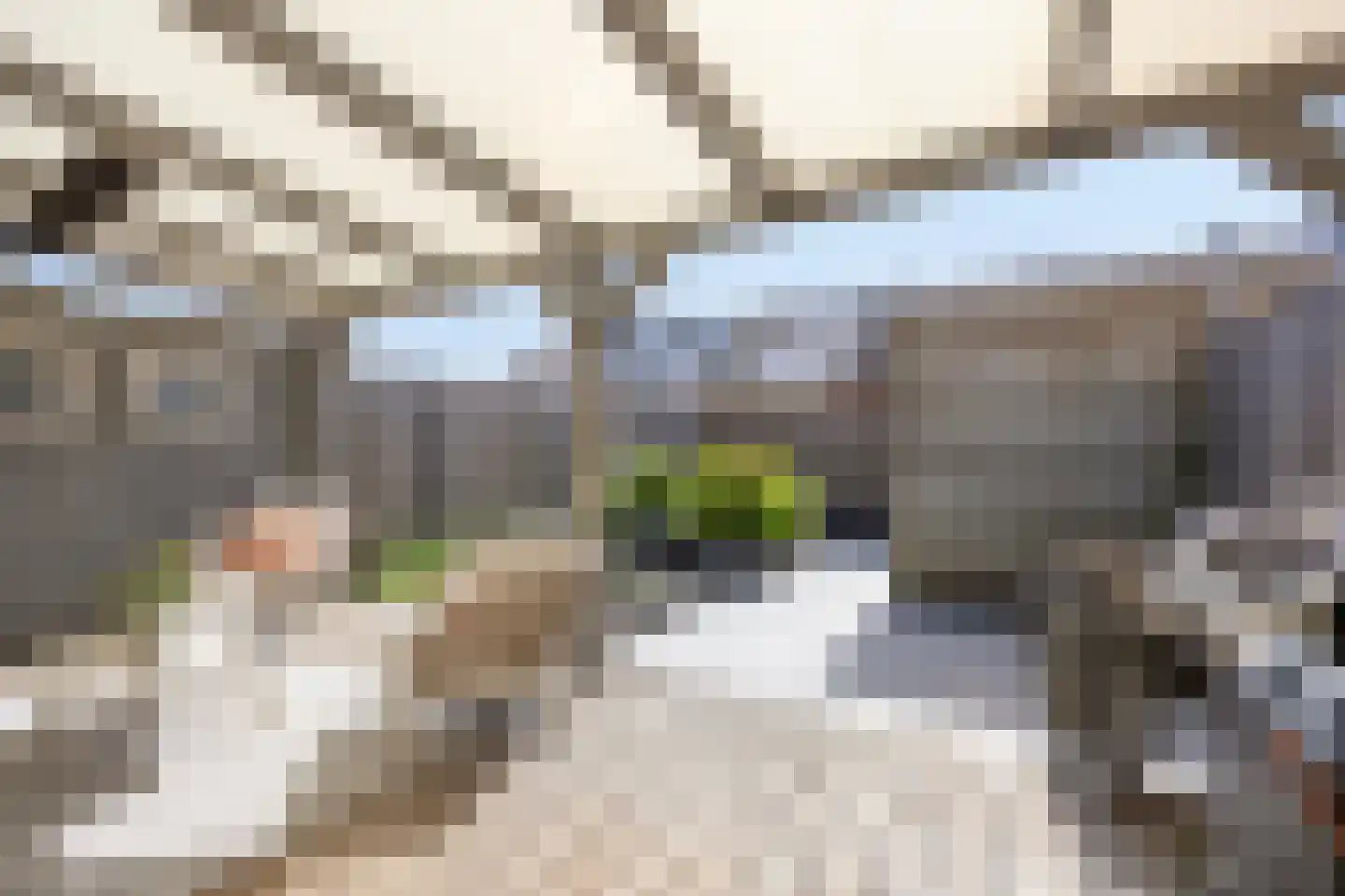 Gerard den Brabanderhof 27 Hoorn thumbnail 21
