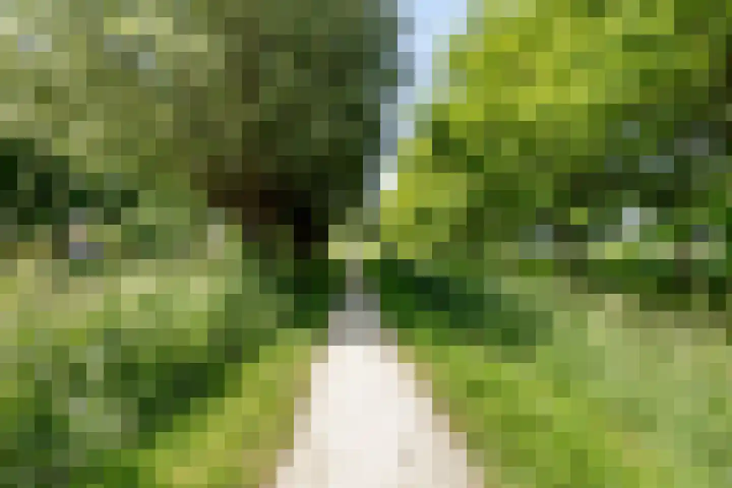 Gerard den Brabanderhof 27 Hoorn thumbnail 27