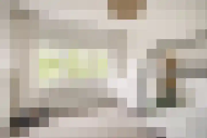 Gerard den Brabanderhof 32 Hoorn thumbnail 24